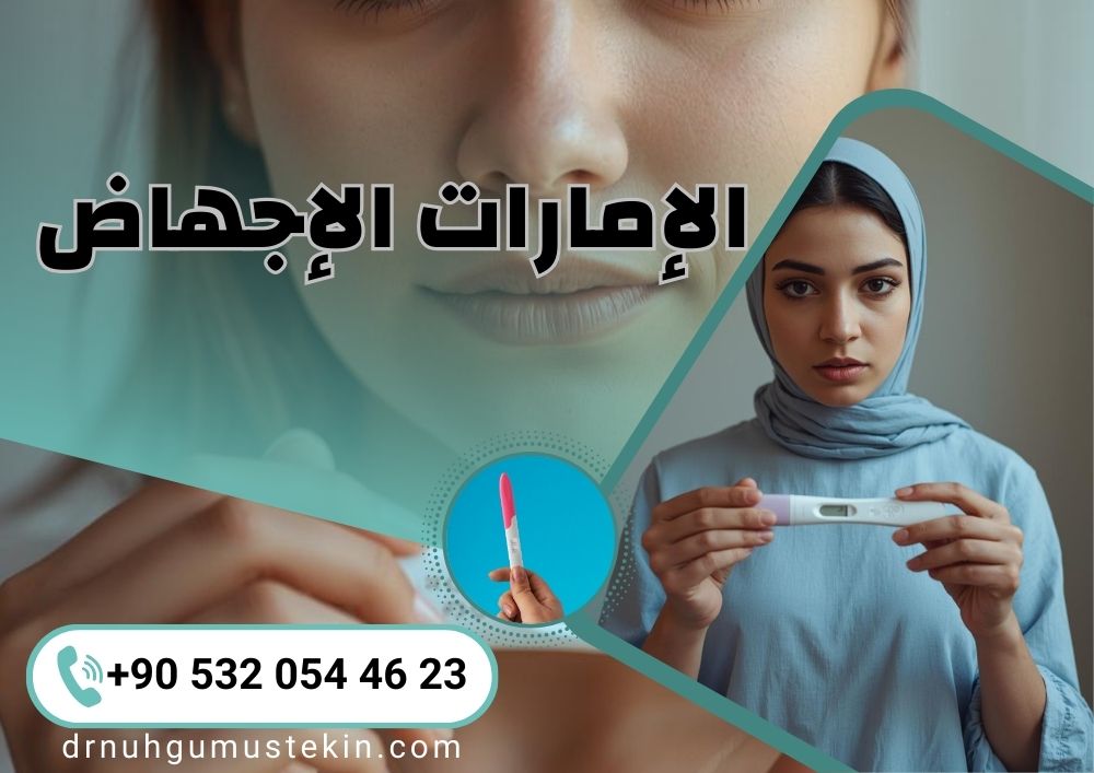 الإمارات الإجهاض